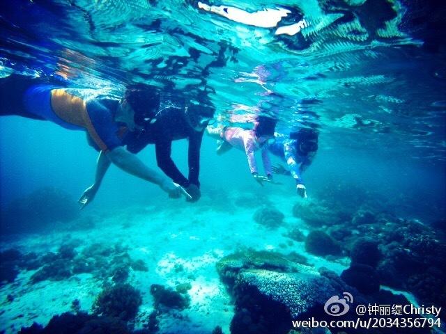 逃离废弃的卡车场